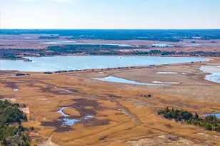 111 Louisiana, Milton, DE 19968 - Photo 69