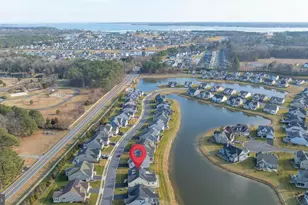 32130 Ivory Gull Wy, Millsboro, DE 19966 - Photo 71