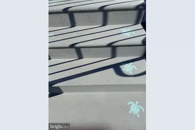 38267 Possum Road #271, Ocean View, DE 19970 - Photo 63