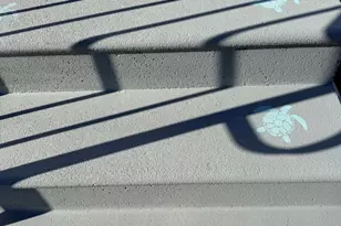 38267 Possum Rd, Ocean View, DE 19970 - Photo 63