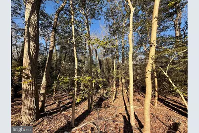 26165 Ohnmacht Ln, Georgetown, DE 19947 - Photo 23