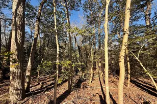 26165 Ohnmacht Ln, Georgetown, DE 19947 - Photo 23