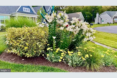 29606 Patrick Henry Circle, Millsboro, DE 19966 - Photo 29