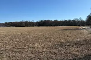 12393 Taylor Mill Rd, Laurel, DE 19956 - Photo 1