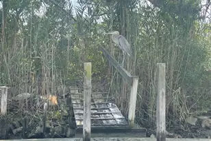 38315 Canal St, Ocean View, DE 19970 - Photo 73