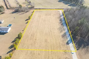 Lot 2 Rabbit Run, Ellendale, DE 19941 - Photo 1