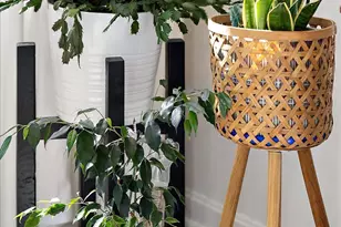 413 Queen Anne St, Dagsboro, DE 19939 - Photo 21