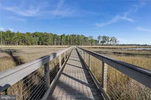 23848 Quiet Waters Ave, Millsboro, DE 19966 - Photo 113