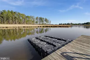 23848 Quiet Waters Ave, Millsboro, DE 19966 - Photo 119
