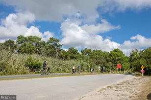 115 Cornwall Rd, Rehoboth Beach, DE 19971 - Photo 99