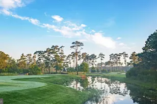 31568 Winterberry Pkwy, Selbyville, DE 19975 - Photo 47