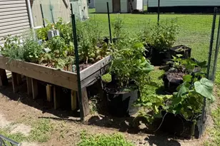 35502 E Harbor Dr, Millsboro, DE 19966 - Photo 3