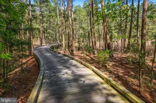 33529 Tiderunner Ave, Millsboro, DE 19966 - Photo 117