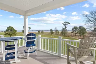 33529 Tiderunner Ave, Millsboro, DE 19966 - Photo 47