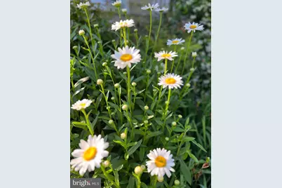 7 Longview Drive, Ocean View, DE 19970 - Photo 121