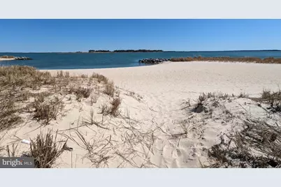 33501 Grape Street, Millsboro, DE 19966 - Photo 27