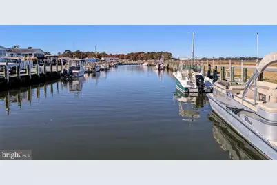 33501 Grape Street, Millsboro, DE 19966 - Photo 31