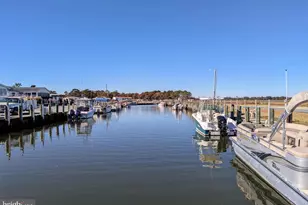 33501 Grape St, Millsboro, DE 19966 - Photo 31