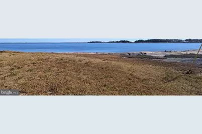 33501 Grape Street, Millsboro, DE 19966 - Photo 39