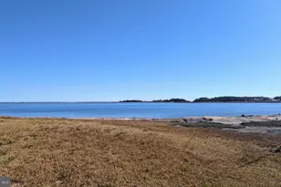 33501 Grape St, Millsboro, DE 19966 - Photo 39