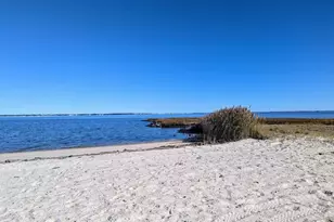 33501 Grape St, Millsboro, DE 19966 - Photo 33