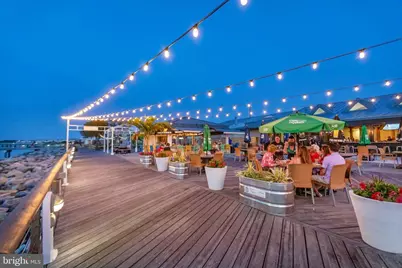 29 Dogwood Avenue, Lewes, DE 19958 - Photo 45