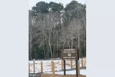 37052 Double Bridges Road, Frankford, DE 19945 - Photo 3