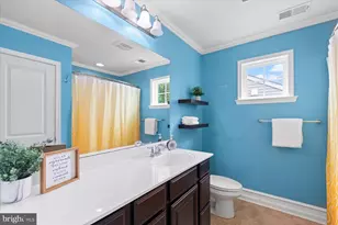 152 Bobbys Branch Rd, Millsboro, DE 19966 - Photo 41