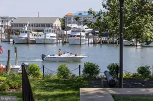 22585 Southern Pines Dr, Lewes, DE 19958 - Photo 69