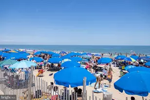 19918 Ames Dr, Rehoboth Beach, DE 19971 - Photo 51
