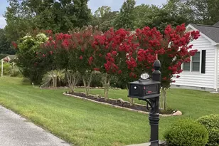 31033 Meadow Dr, Lewes, DE 19958 - Photo 1