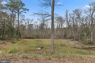 31915 Elizabeth Dr, Dagsboro, DE 19939 - Photo 71