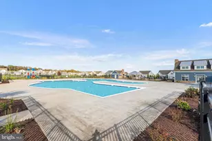 24289 Giant Squid Way, Millsboro, DE 19966 - Photo 61