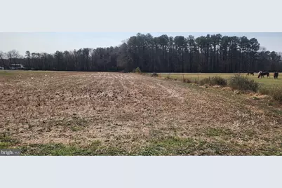 Lot 1 Pepperbox Road, Laurel, DE 19956 - Photo 1