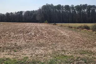 35913 Fall Harvest Dr, Laurel, DE 19956 - Photo 1