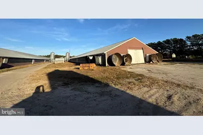 31568 Mount Pleasant Road, Laurel, DE 19956 - Photo 3