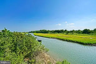 1803 S Bayshore Dr, Milton, DE 19968 - Photo 39