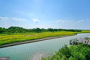 1803 S Bayshore Dr, Milton, DE 19968 - Photo 67