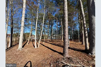 24489 Westridge Drive - Lot #42, Millsboro, DE 19966 - Photo 15