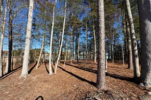 24489 Westridge Dr Lot 42, Millsboro, DE 19966 - Photo 15