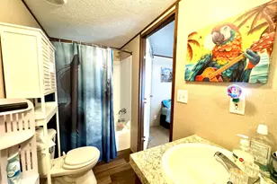 28467 Wynikako Ave, Millsboro, DE 19966 - Photo 47