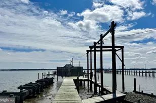 28467 Wynikako Ave, Millsboro, DE 19966 - Photo 13