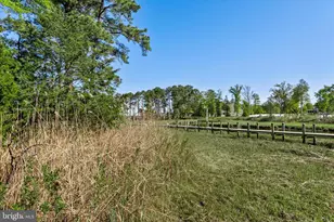 305 Baywinds Ct, Dagsboro, DE 19939 - Photo 53