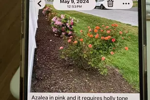 324 E 6th St, Blades, DE 19973 - Photo 83