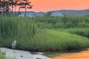 30651 Tower Pl, Selbyville, DE 19975 - Photo 3