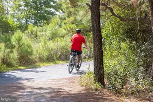119 East Side Dr, Rehoboth Beach, DE 19971 - Photo 57