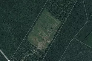 0 Little Hill Rd, Millsboro, DE 19945 - Photo 7