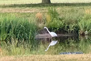3 Richardson Way, Rehoboth Beach, DE 19971 - Photo 57