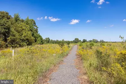14787 Coastal Highway, Milton, DE 19968 - Photo 61