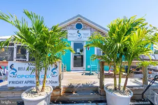 9 Oyster Rd, Millsboro, DE 19966 - Photo 35